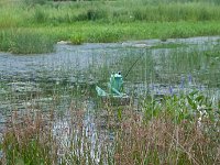 2016 - MortArboretumFrogs 0025 : Morton Arboritum, 2016 - Morton Frogs
